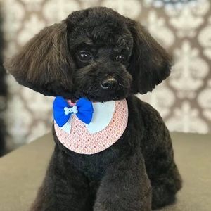 Meet your Posher, Karina